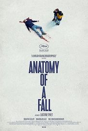Постер фильма Анатомия падения