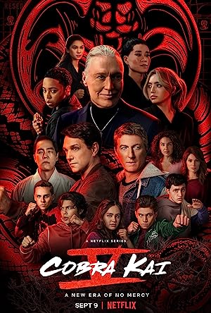 Постер сериала Кобра Кай